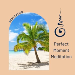 Perfect Moment Meditation