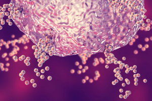 Decoding Histamine and Mast Cells